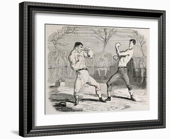 Antique Humorous Illustration Of A Boxing Match Beginning-marzolino-Framed Art Print