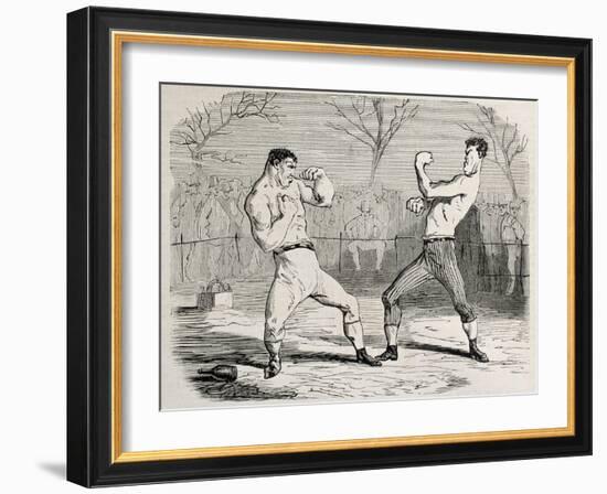 Antique Humorous Illustration Of A Boxing Match Beginning-marzolino-Framed Art Print