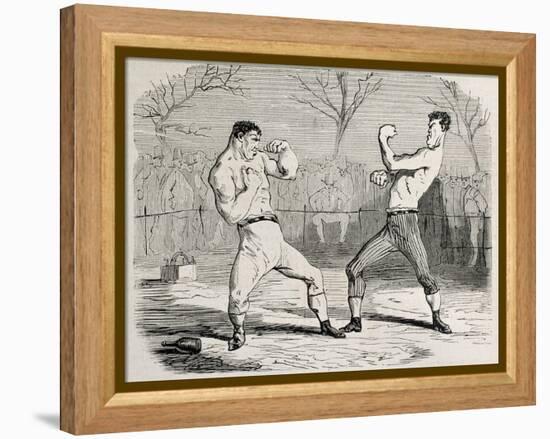 Antique Humorous Illustration Of A Boxing Match Beginning-marzolino-Framed Stretched Canvas