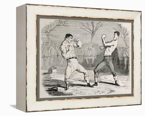 Antique Humorous Illustration Of A Boxing Match Beginning-marzolino-Framed Stretched Canvas