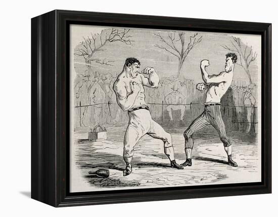 Antique Humorous Illustration Of A Boxing Match Beginning-marzolino-Framed Stretched Canvas