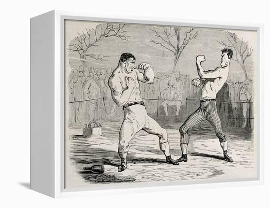 Antique Humorous Illustration Of A Boxing Match Beginning-marzolino-Framed Stretched Canvas