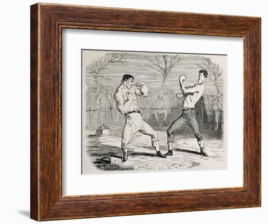 Antique Humorous Illustration Of A Boxing Match Beginning-marzolino-Framed Art Print