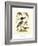 Antique Kingfisher I-Alexander Wilson-Framed Art Print