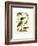 Antique Kingfisher I-Alexander Wilson-Framed Art Print