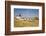 Antique La Mancha Windmills and Castle in Consuegra, Spain-Julianne Eggers-Framed Photographic Print