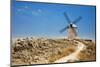 Antique La Mancha Windmills in Consuegra, Spain-Julianne Eggers-Mounted Photographic Print