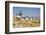 Antique La Mancha Windmills in Spain-Julianne Eggers-Framed Photographic Print