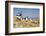 Antique La Mancha Windmills in Spain-Julianne Eggers-Framed Photographic Print