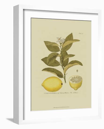 Antique Lemon-null-Framed Art Print