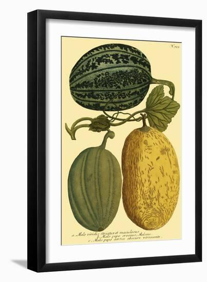 Antique Melons I-null-Framed Art Print