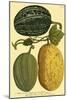 Antique Melons I-null-Mounted Art Print