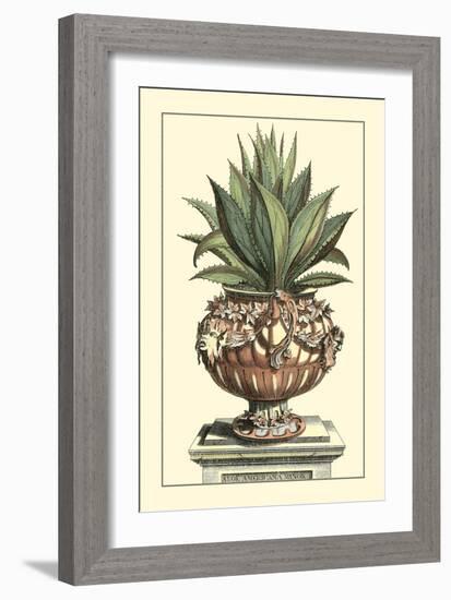 Antique Munting Aloe IV-Abraham Munting-Framed Art Print