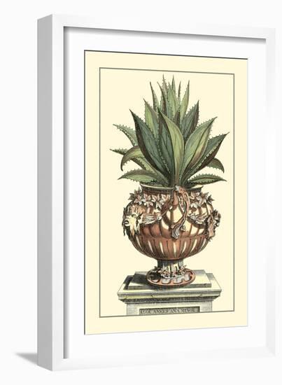 Antique Munting Aloe IV-Abraham Munting-Framed Art Print