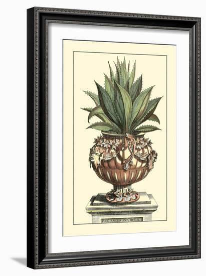 Antique Munting Aloe IV-Abraham Munting-Framed Art Print