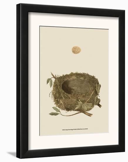 Antique Nest and Egg I-Reverend Francis O^ Morris-Framed Art Print