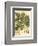 Antique Oak Tree-John Miller (Johann Sebastien Mueller)-Framed Art Print