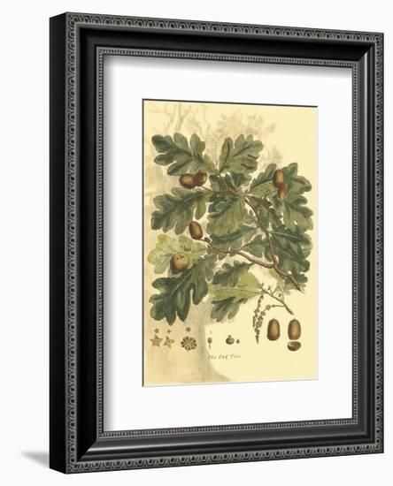 Antique Oak Tree-John Miller (Johann Sebastien Mueller)-Framed Art Print