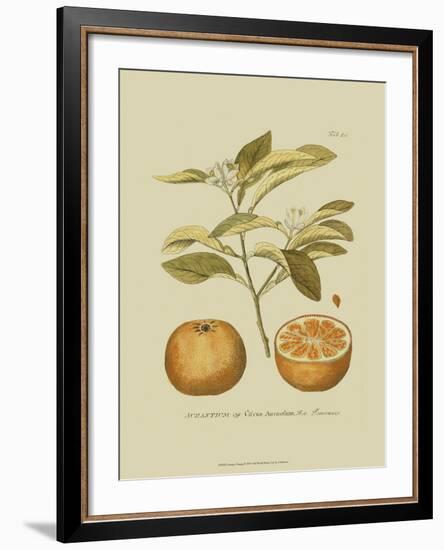 Antique Orange-null-Framed Art Print