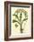 Antique Orchid Study IV-Syndenham Edwards-Framed Art Print