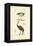 Antique Ostrich Study-N. Remond-Framed Stretched Canvas
