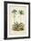 Antique Palm Collection V-M. Charles D'Orbigny-Framed Art Print