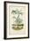 Antique Palm Collection VI-M. Charles D'Orbigny-Framed Art Print