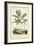 Antique Palm Collection VII-M. Charles D'Orbigny-Framed Art Print