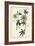 Antique Passion Flower II-Weinmann-Framed Premium Giclee Print