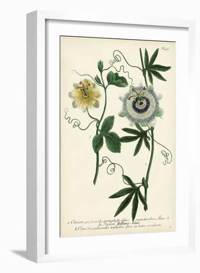 Antique Passion Flower II-Weinmann-Framed Premium Giclee Print