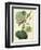 Antique Passionflower I-M. Hart-Framed Art Print