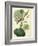 Antique Passionflower I-M. Hart-Framed Art Print