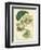 Antique Passionflower II-M. Hart-Framed Art Print