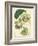 Antique Passionflower II-M. Hart-Framed Art Print