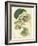 Antique Passionflower II-M. Hart-Framed Art Print