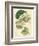 Antique Passionflower II-M. Hart-Framed Premium Giclee Print