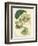 Antique Passionflower II-M. Hart-Framed Premium Giclee Print