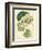 Antique Passionflower II-M. Hart-Framed Premium Giclee Print