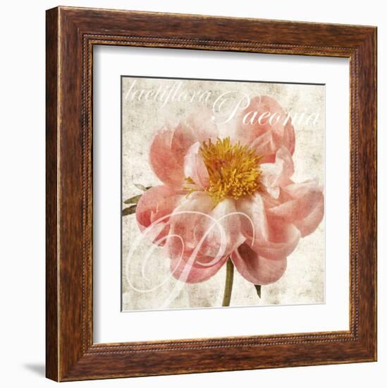 Antique Peony I-Christine Zalewski-Framed Art Print