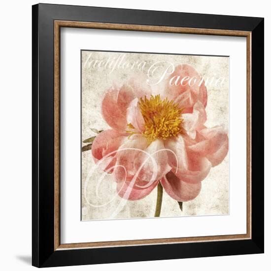 Antique Peony I-Christine Zalewski-Framed Art Print