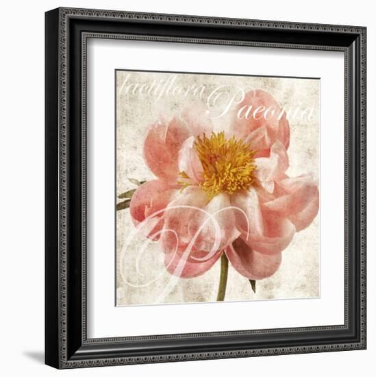 Antique Peony I-Christine Zalewski-Framed Art Print