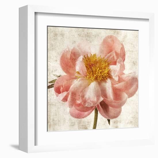 Antique Peony II-Christine Zalewski-Framed Art Print