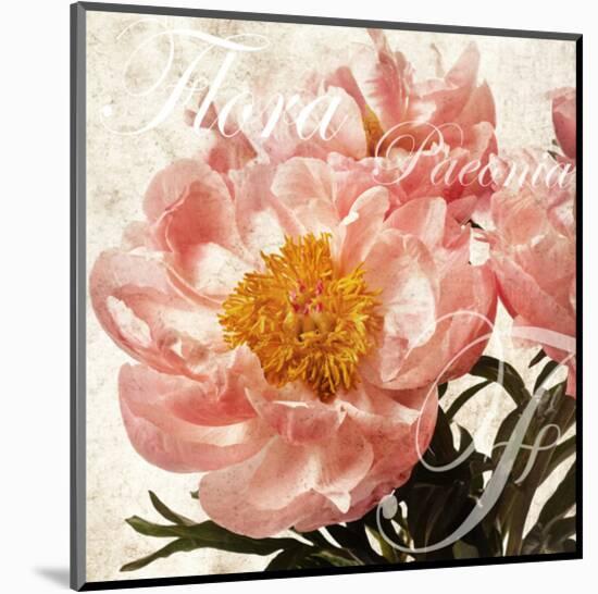 Antique Peony III-Christine Zalewski-Mounted Art Print