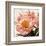 Antique Peony IV-Christine Zalewski-Framed Art Print