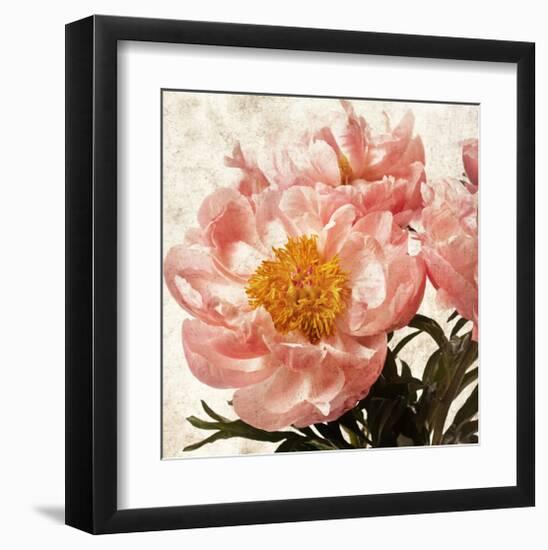 Antique Peony IV-Christine Zalewski-Framed Art Print