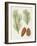 Antique Pine Cones I-Unknown-Framed Art Print