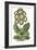 Antique Primula III-null-Framed Art Print