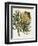 Antique Protea III-null-Framed Premium Giclee Print