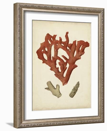 Antique Red Coral II-Vision Studio-Framed Art Print