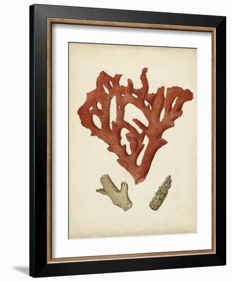 Antique Red Coral II-Vision Studio-Framed Art Print